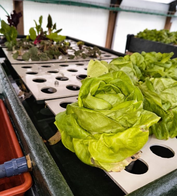 ChatGPT Image 27 mar 2026, 13_00_06