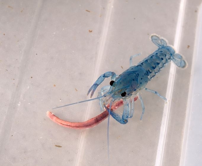 ChatGPT Image 27 mar 2026, 13_01_28